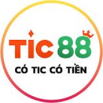 TIC88 150x150 1