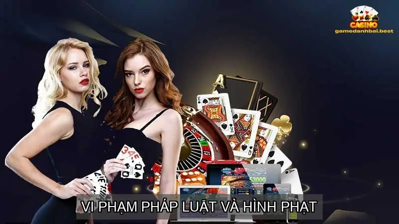 Vi phạm pháp luật và hình phạt