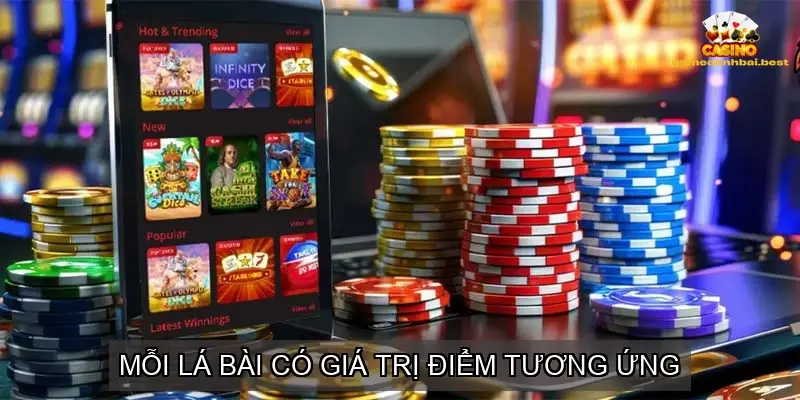 Các Trường Hợp Đặc Biệt